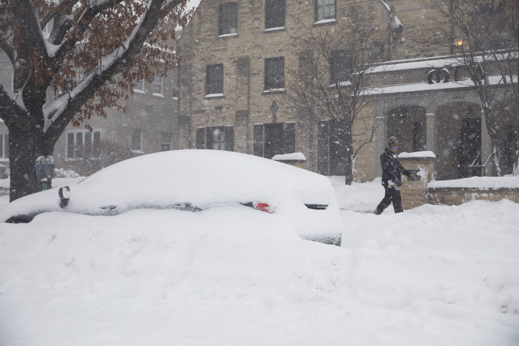 Winter Storm 1.25